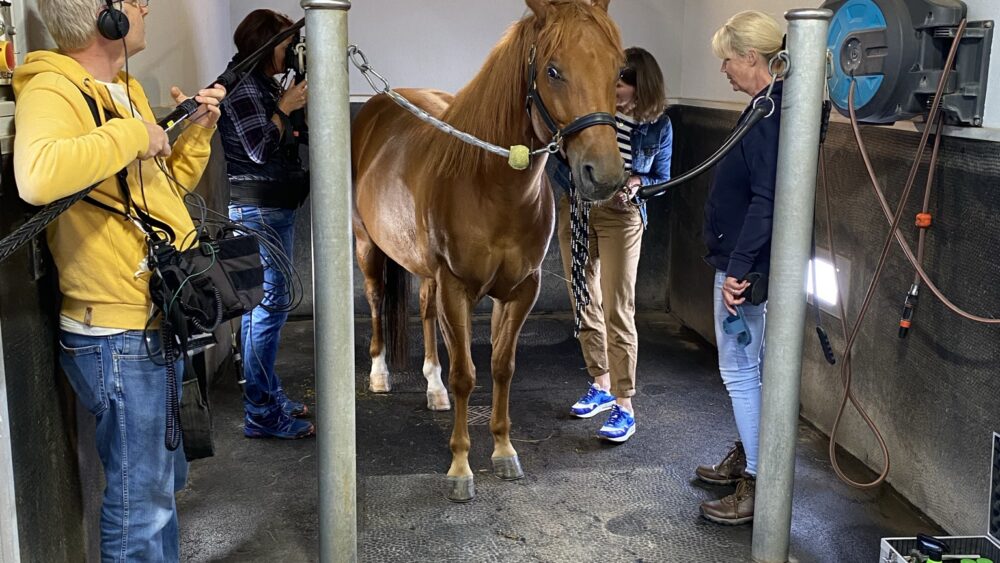 Camera team with presenter, Nele Neuhaus and horse in stable