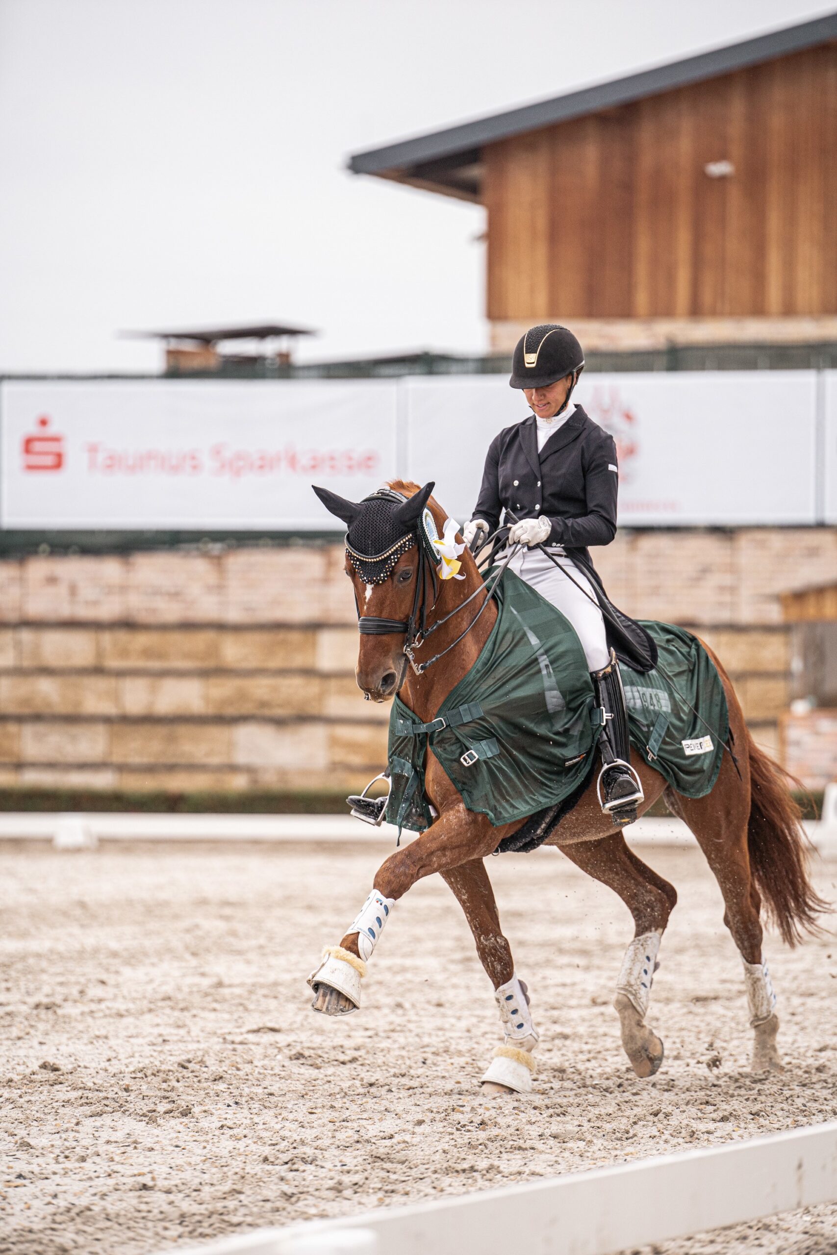 Carina Peiker auf ihrem Pferd Lord Carnaby auf Siegerrunde im Trab