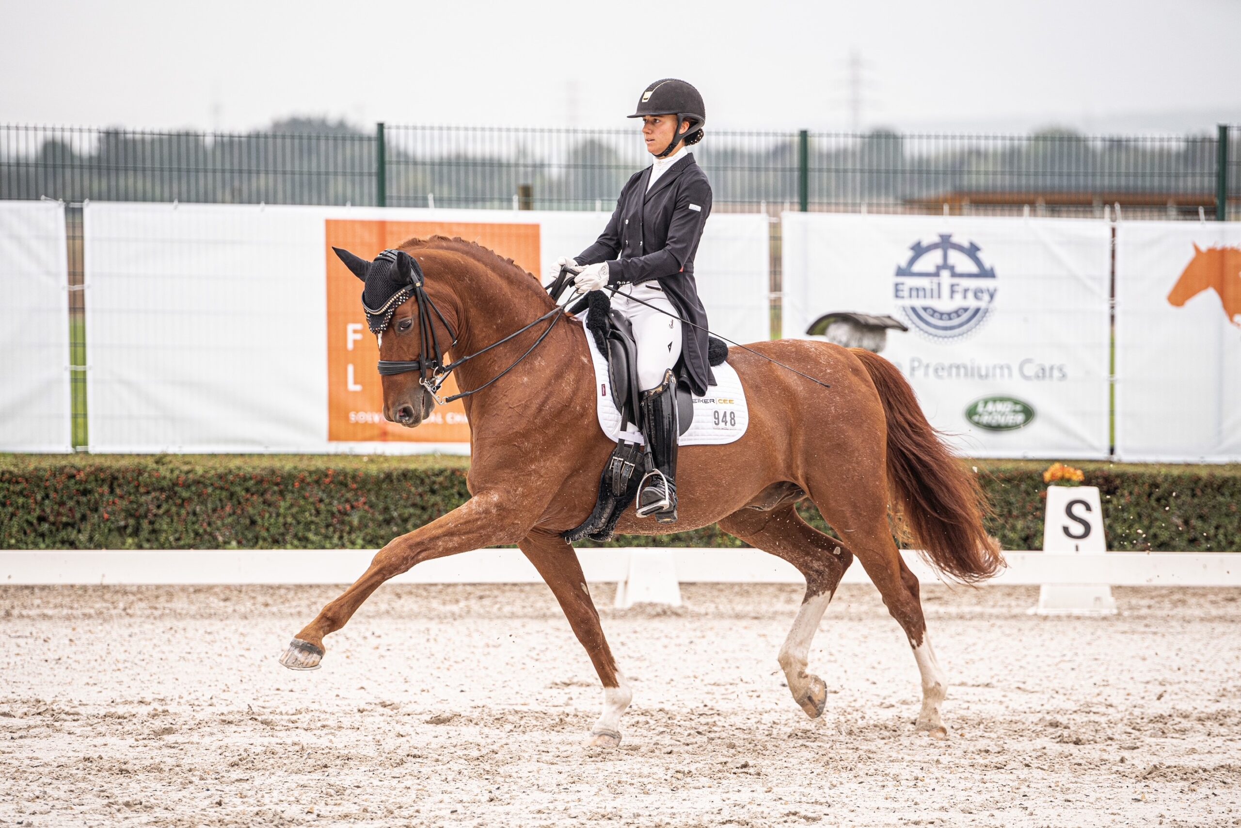 Carina Peiker auf ihrem Pferd Lord Carnaby im Trab