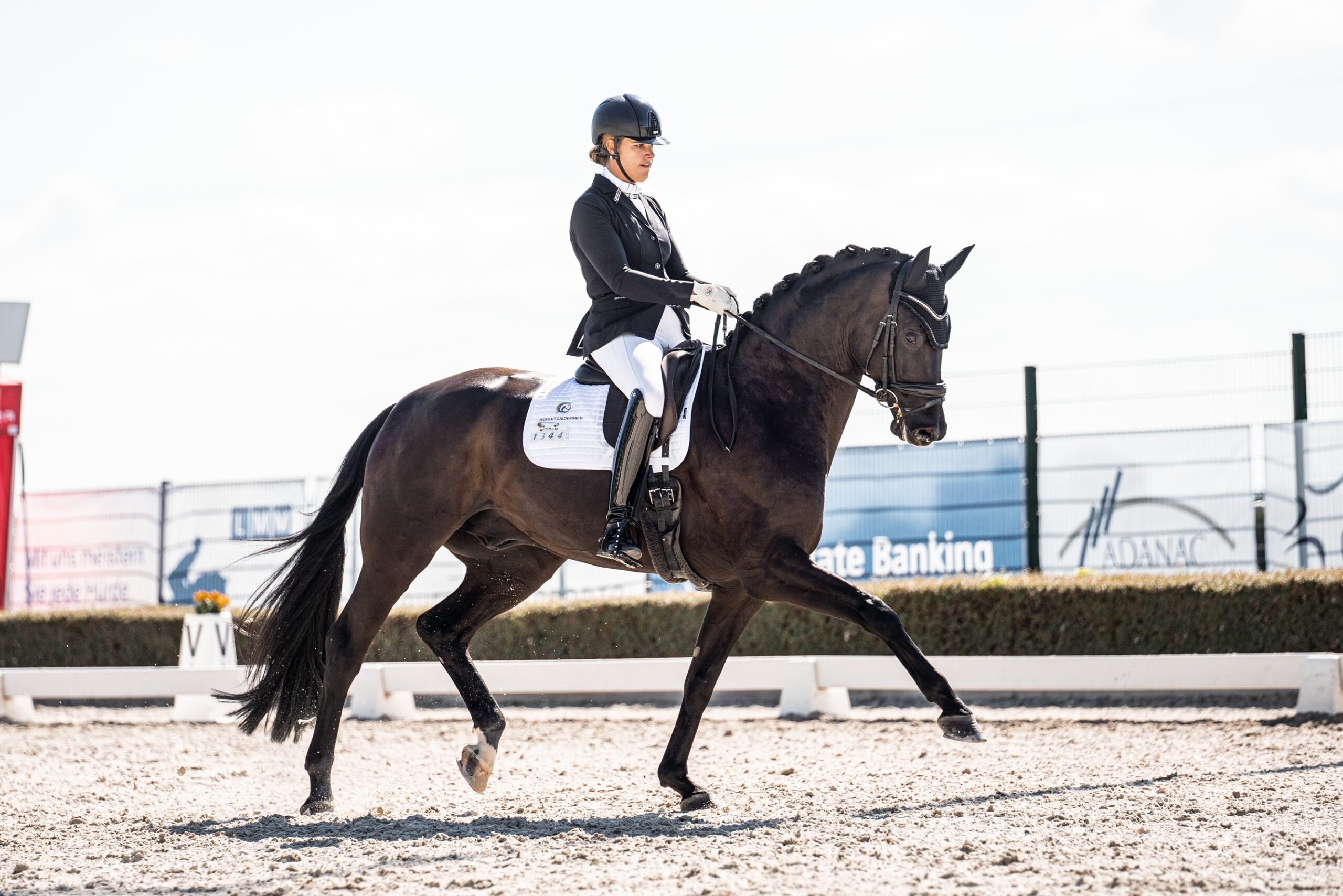 Ella-Alea Maulhardt auf dem Pferd Del Re im Trab