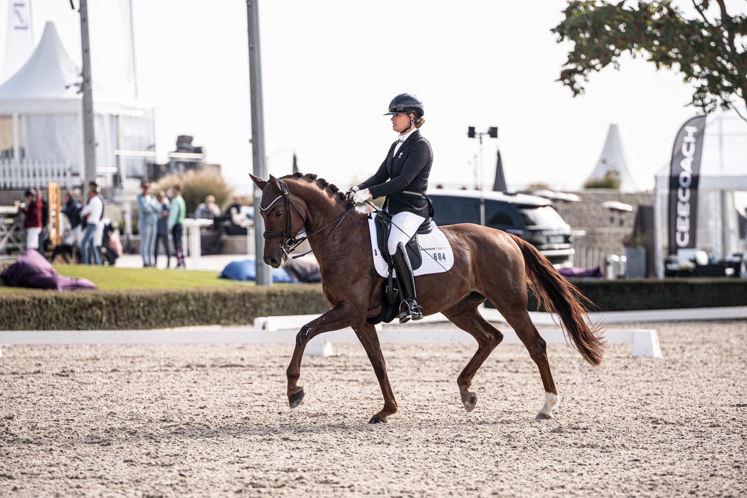 Ella-Alea Maulhardt auf dem Pferd Fine Art G im Trab