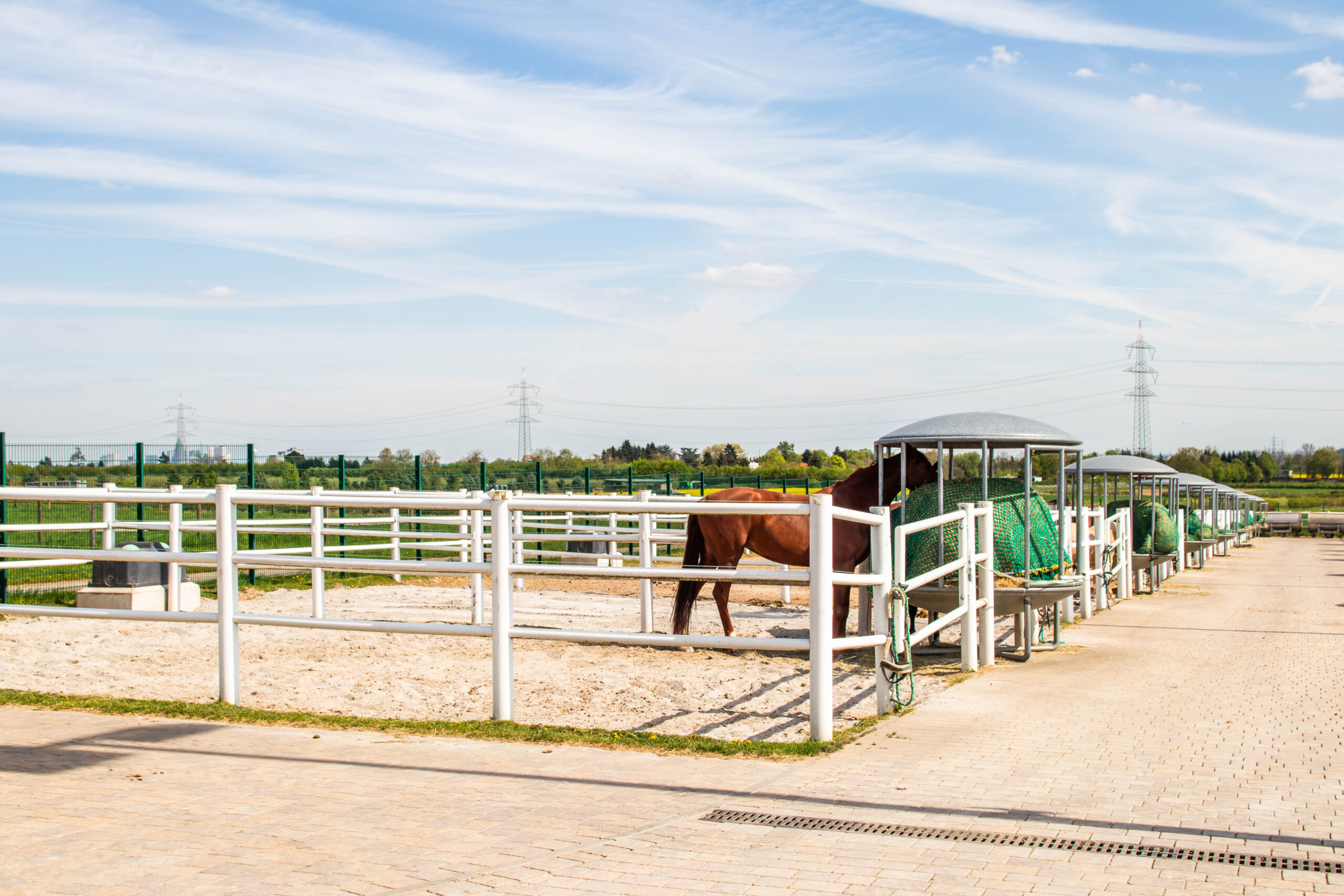 Hofgut Liederbach Paddocks