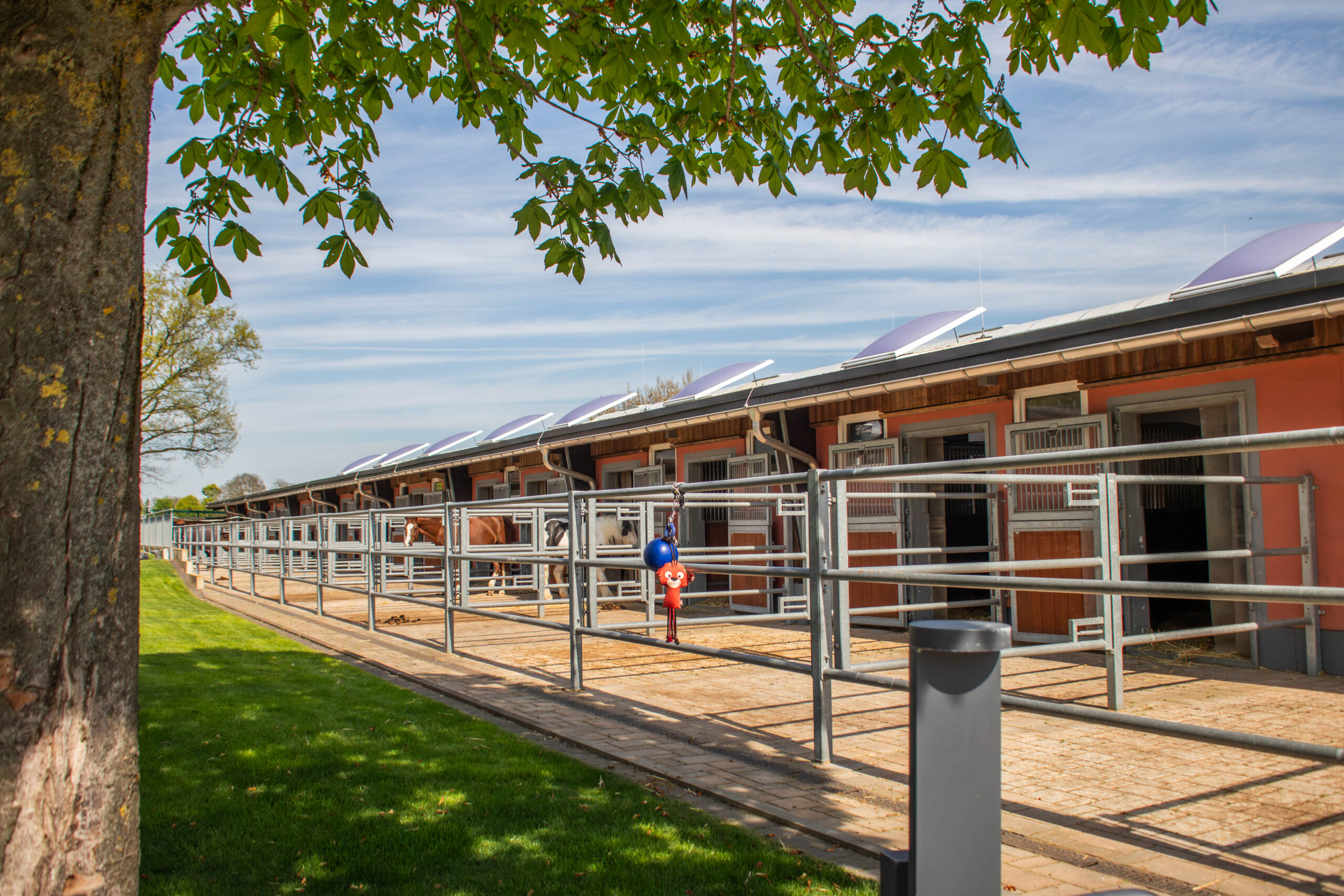 Hofgut Liederbach Stallgebäude mit Paddocks